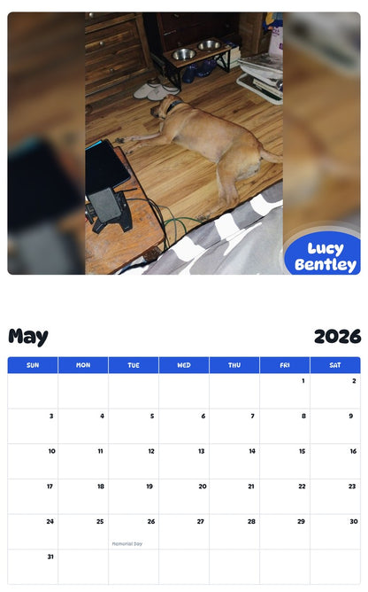 2026 - 2027 Lucy Bentley - Pawidols Pet Calendar