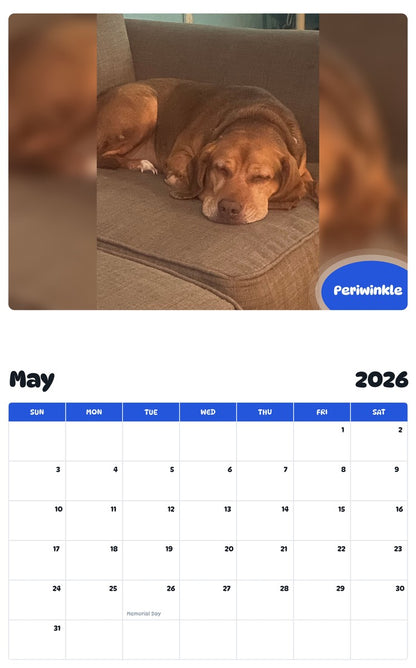 2026 - 2027 Periwinkle - Pawidols Pet Calendar