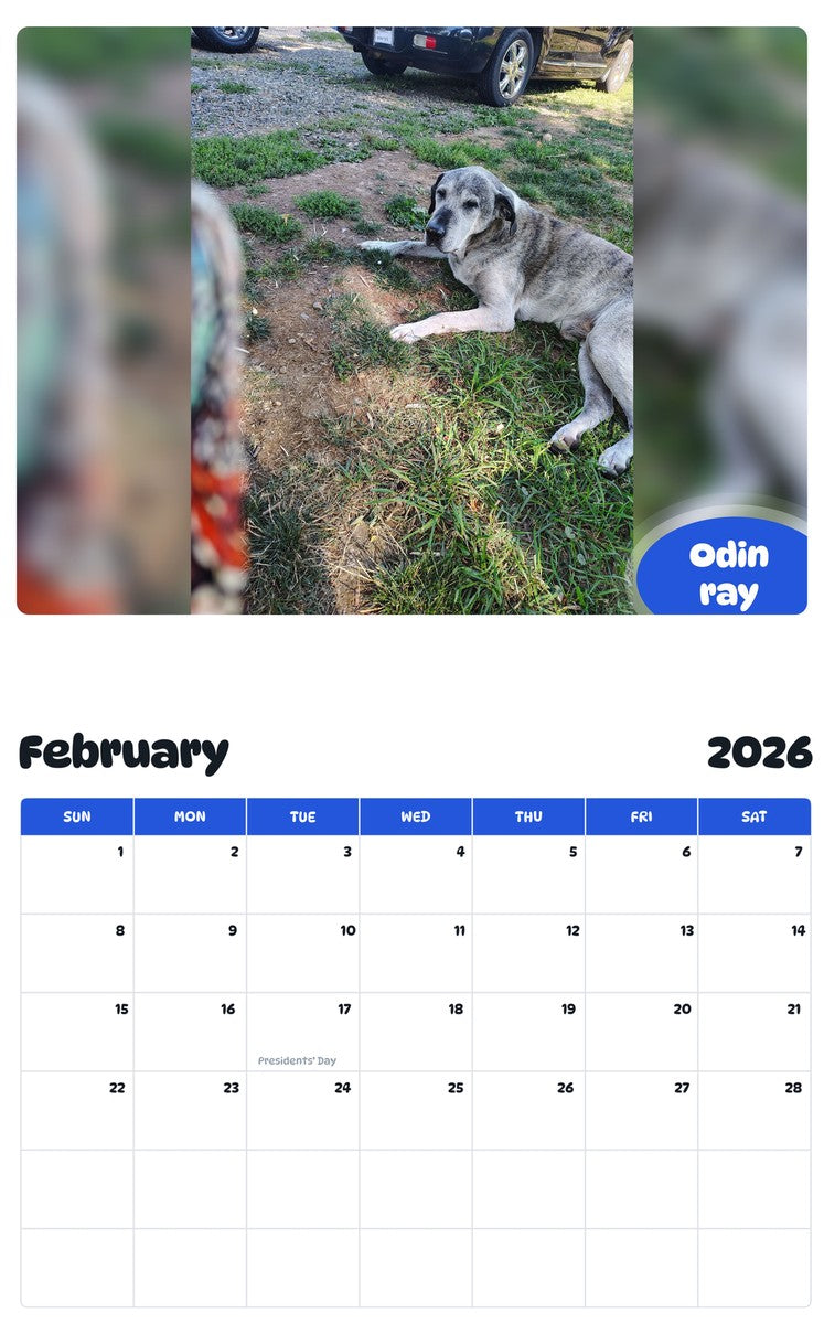 October 2025 - September 2026 Odin ray - Pawidols Pet Calendar