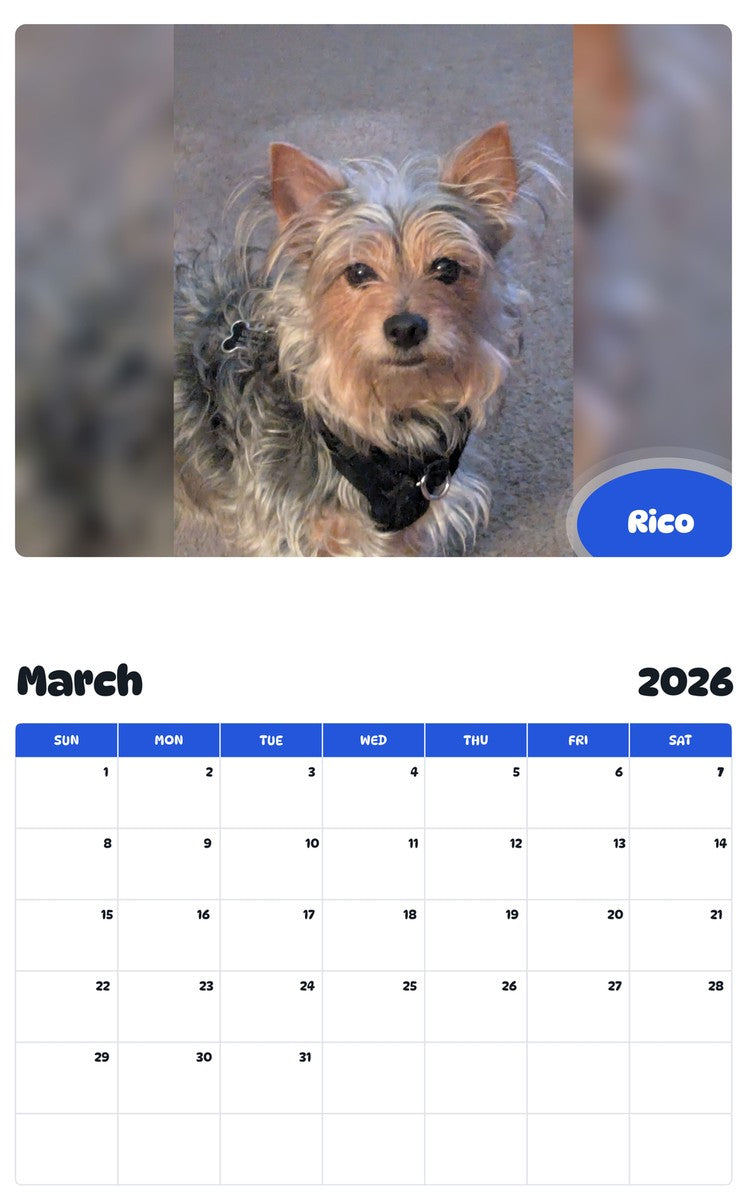 November 2025 - October 2026 Rico - Pawidols Pet Calendar