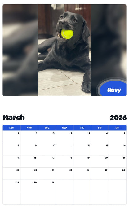 November 2025 - October 2026 Navy - Pawidols Pet Calendar