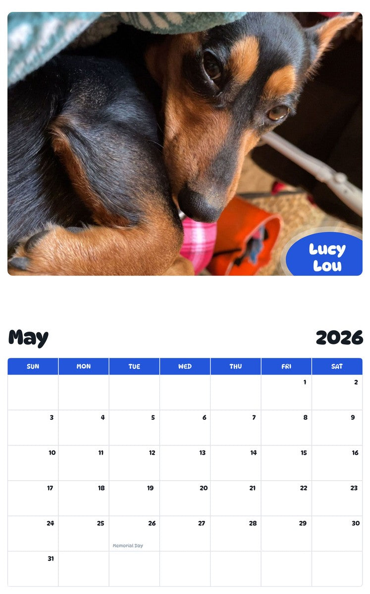2026 - 2027 Lucy Lou - Pawidols Pet Calendar
