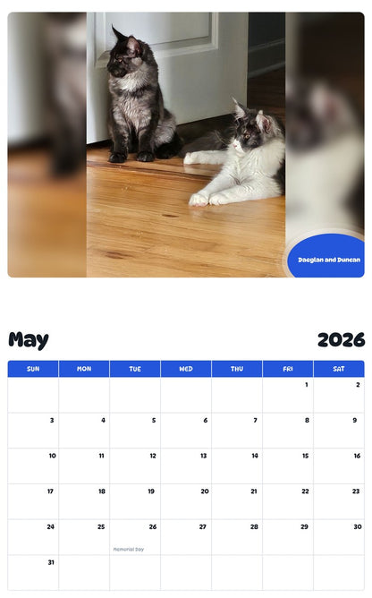 2026 - 2027 Daeglan and Duncan - Pawidols Pet Calendar