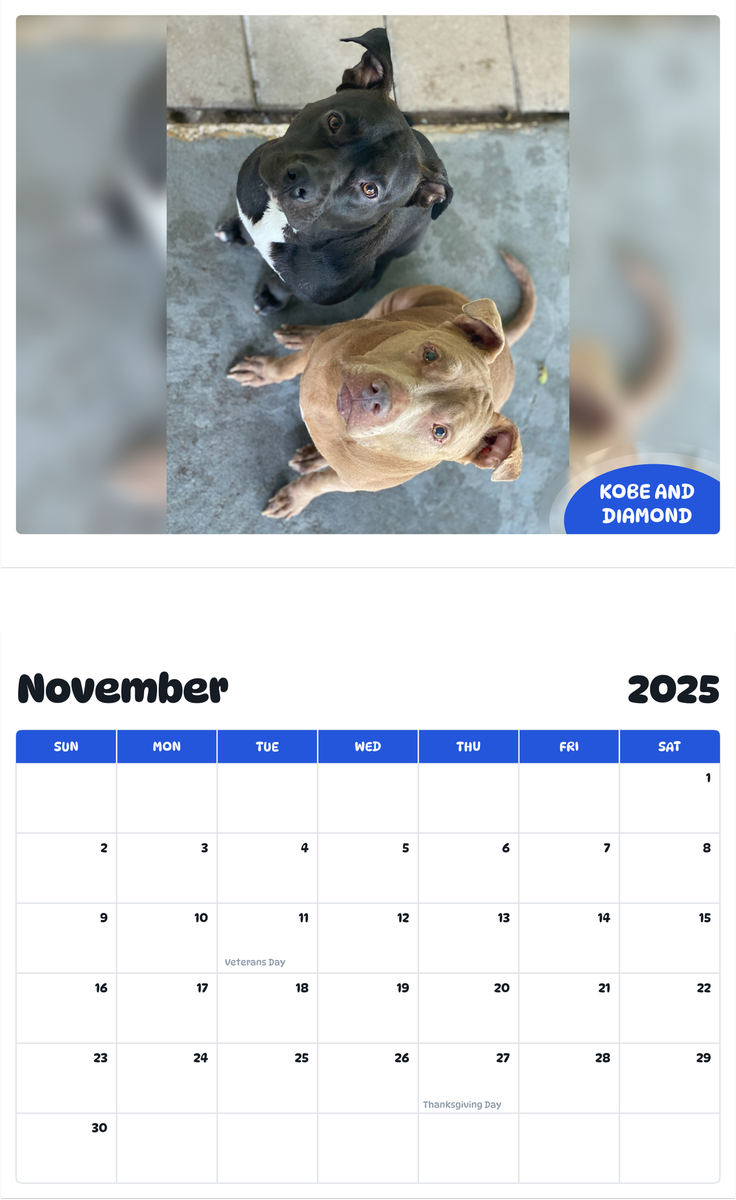 July 2025 - June 2026 Kobe and Diamond - Pawidols Pet Calendar