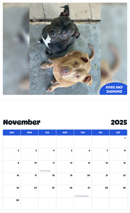 July 2025 - June 2026 Kobe and Diamond - Pawidols Pet Calendar