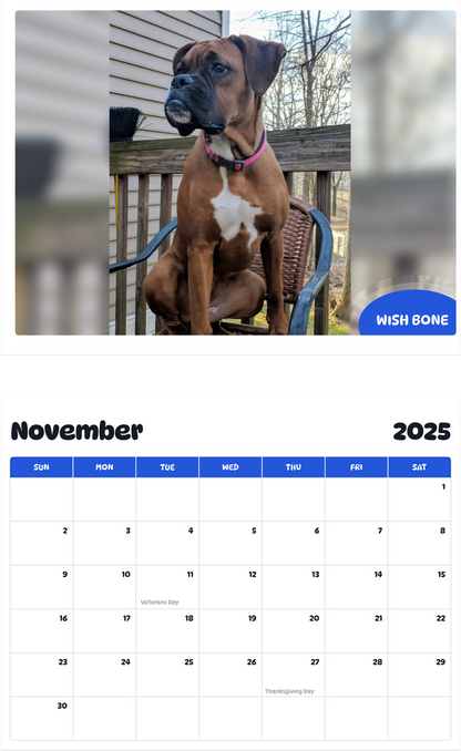 July 2025 - June 2026 Wish Bone - Pawidols Pet Calendar