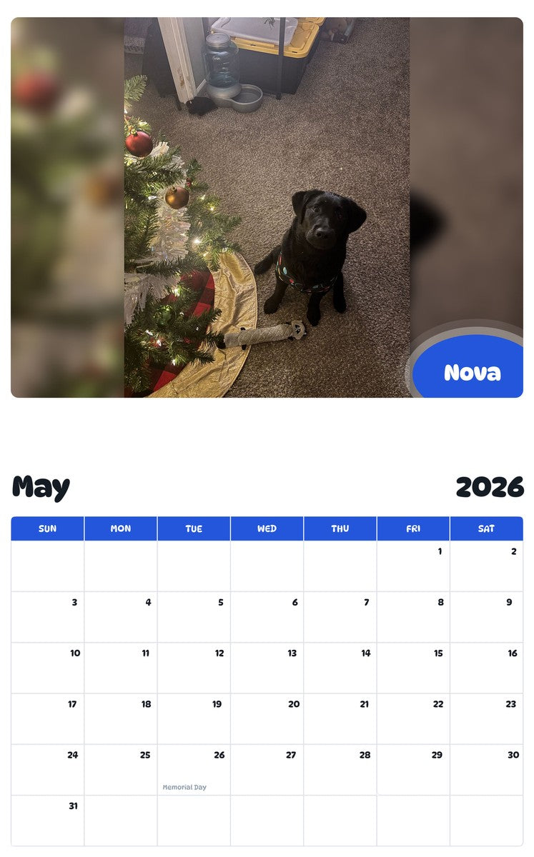 2026 - 2027 Nova - Pawidols Pet Calendar