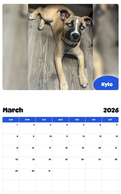 November 2025 - October 2026 Kylo - Pawidols Pet Calendar