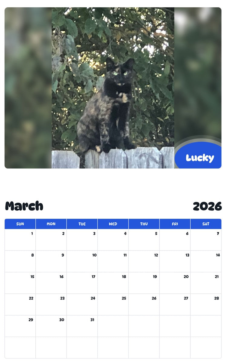 November 2025 - October 2026 Lucky - Pawidols Pet Calendar
