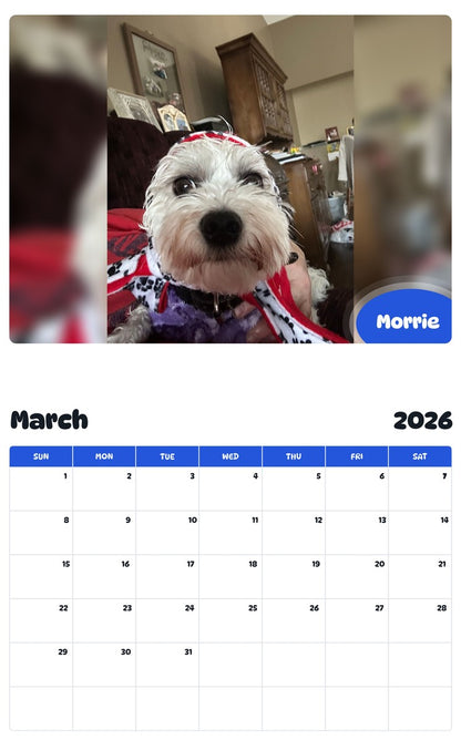 November 2025 - October 2026 Morrie - Pawidols Pet Calendar