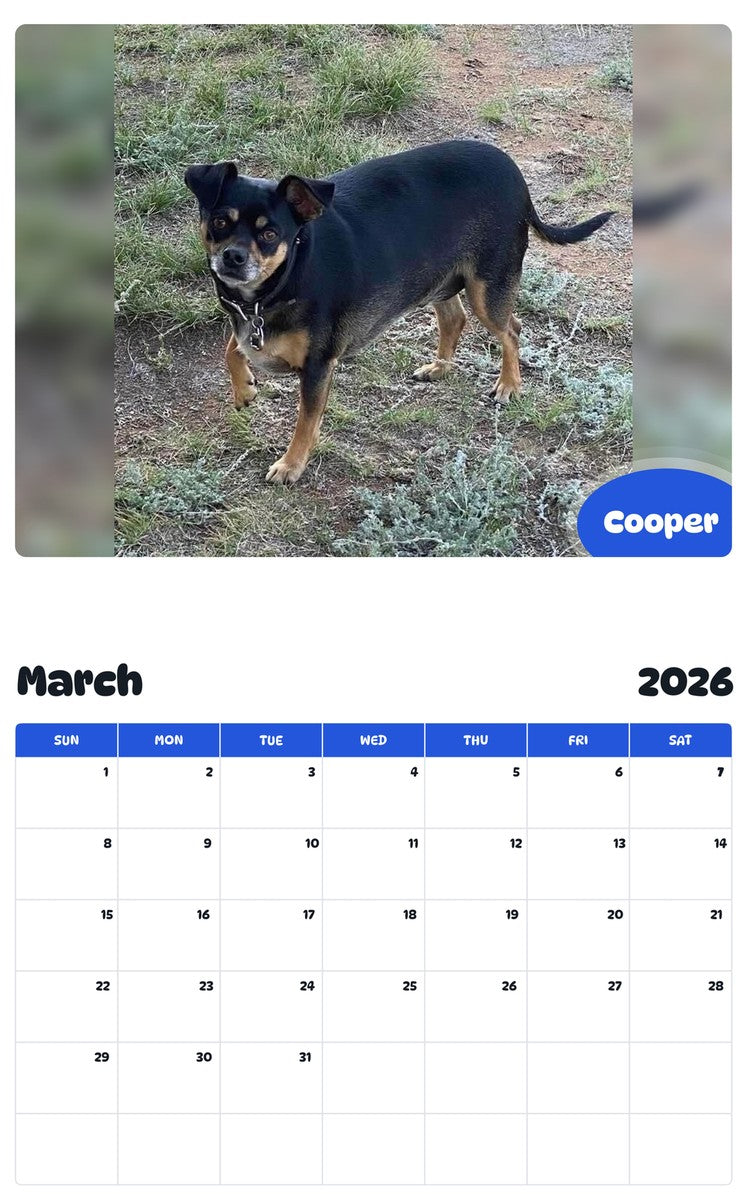 November 2025 - October 2026 Cooper - Pawidols Pet Calendar