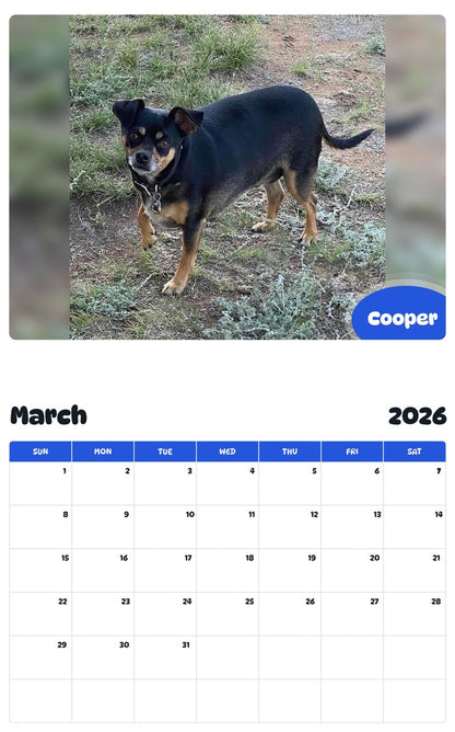 November 2025 - October 2026 Cooper - Pawidols Pet Calendar
