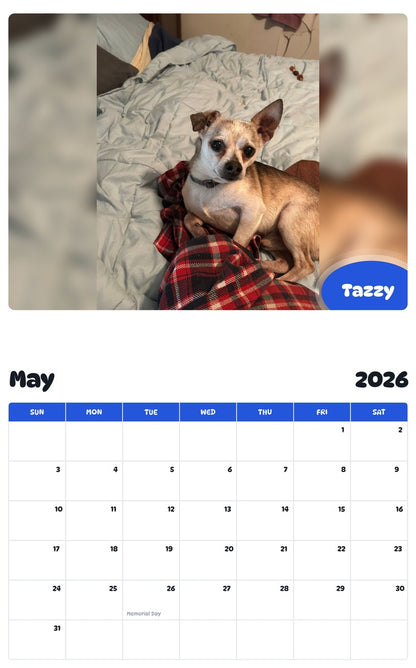 2026 - 2027 Tazzy - Pawidols Pet Calendar