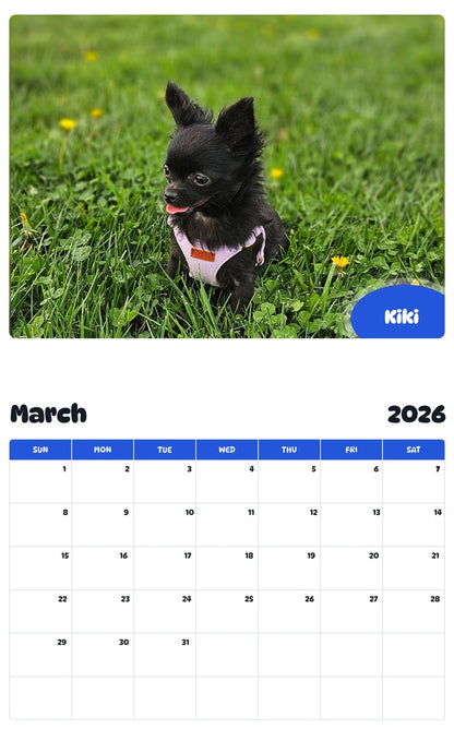 November 2025 - October 2026 Kiki - Pawidols Pet Calendar