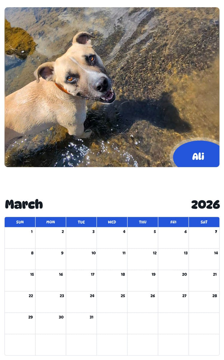 November 2025 - October 2026 Ali - Pawidols Pet Calendar