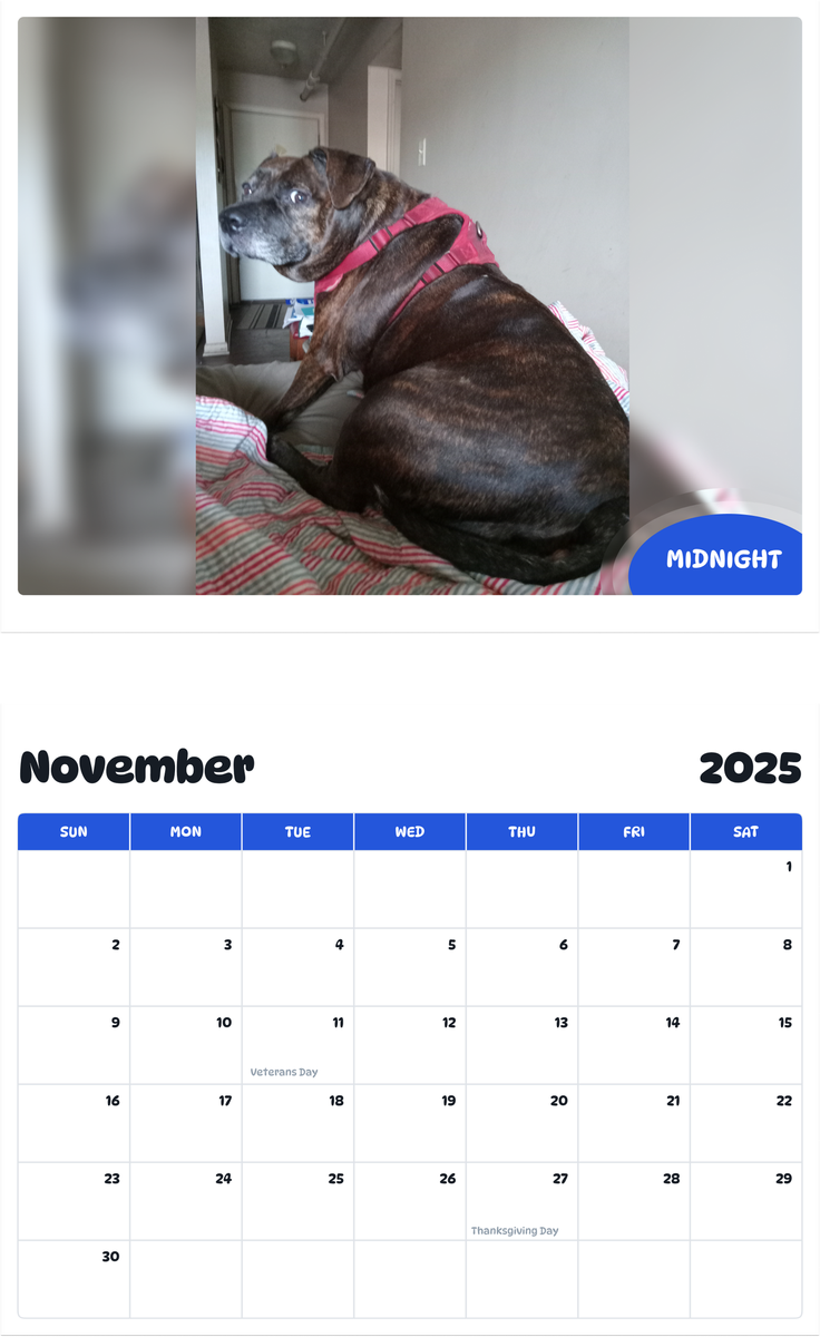 July 2025 - June 2026 Midnight - Pawidols Pet Calendar