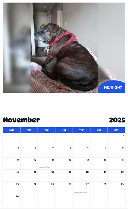 July 2025 - June 2026 Midnight - Pawidols Pet Calendar
