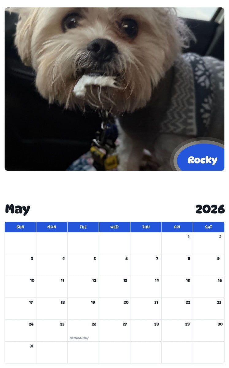 2026 - 2027 Rocky - Pawidols Pet Calendar