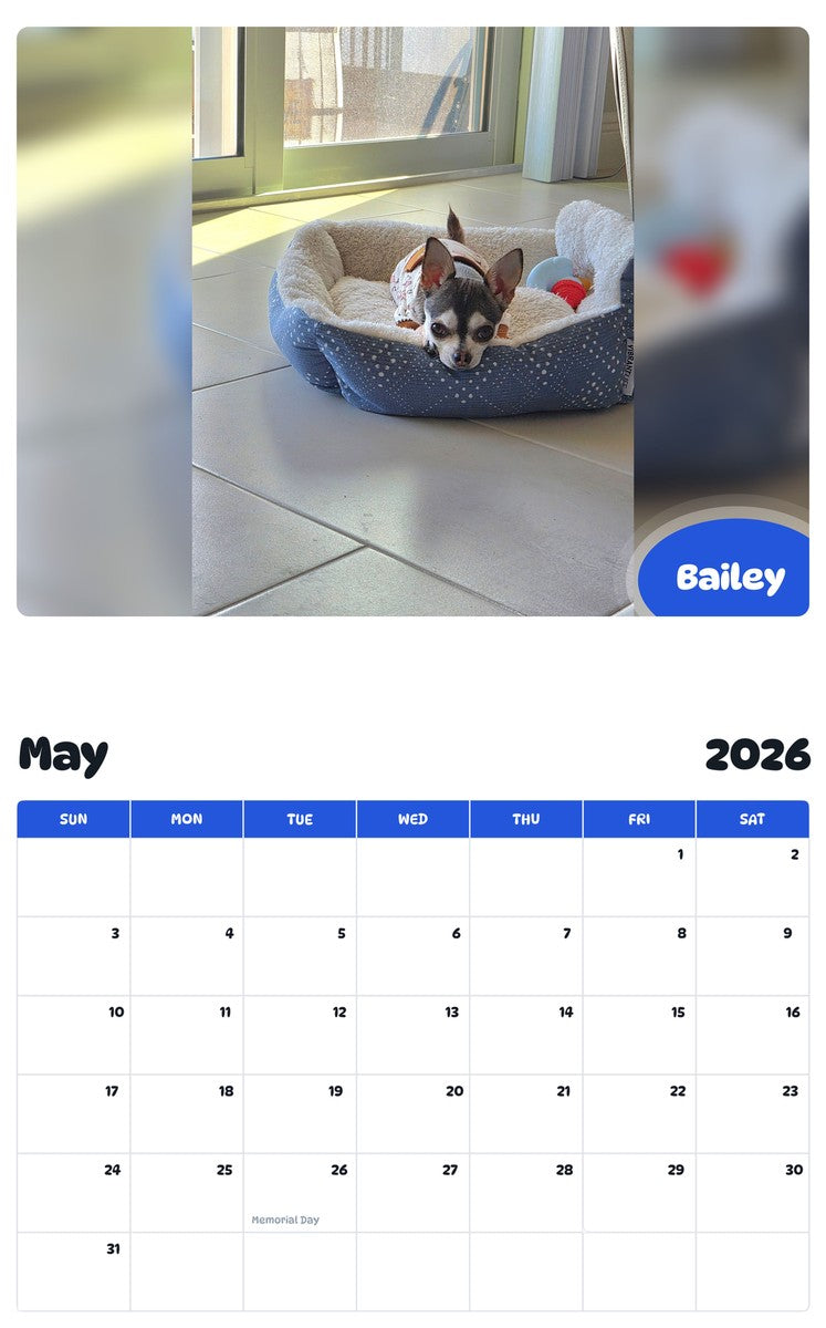 2026 - 2027 Bailey - Pawidols Pet Calendar