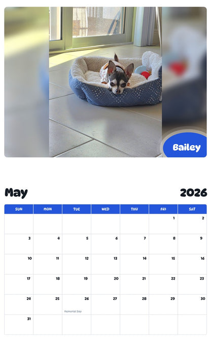 2026 - 2027 Bailey - Pawidols Pet Calendar