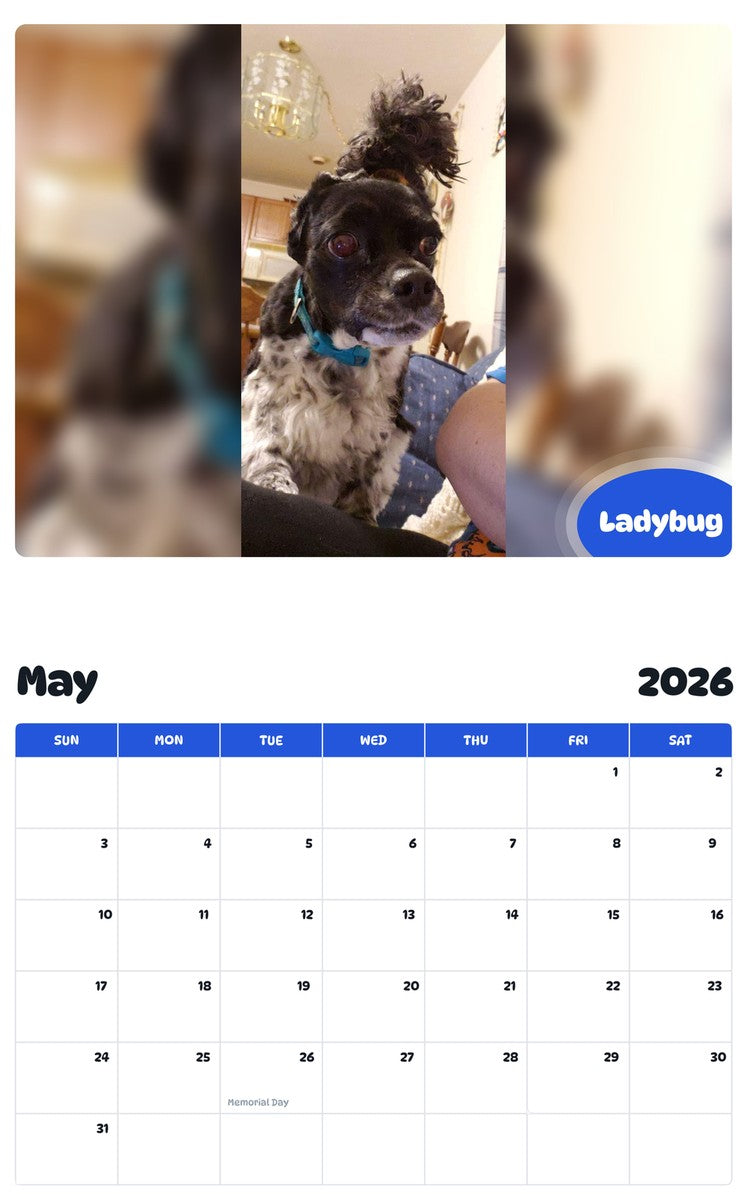 2026 - 2027 Ladybug - Pawidols Pet Calendar