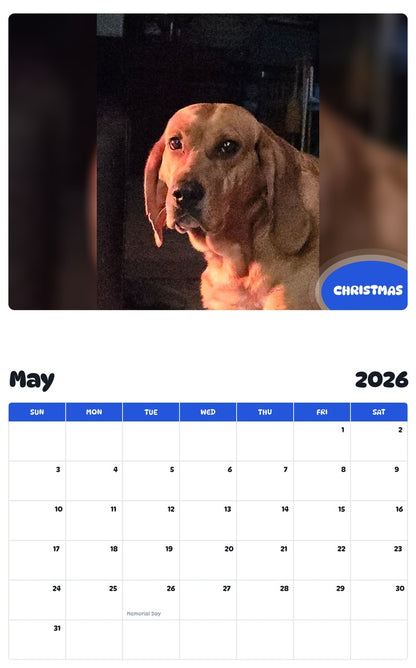 2026 - 2027 CHRISTMAS - Pawidols Pet Calendar