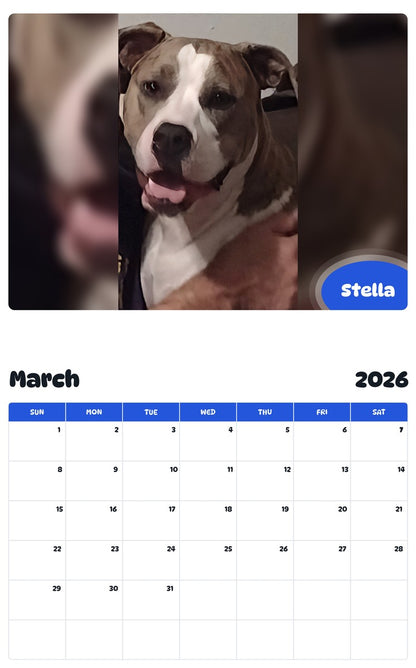 November 2025 - October 2026 Stella - Pawidols Pet Calendar
