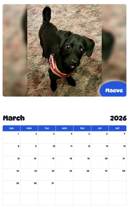 November 2025 - October 2026 Maeve - Pawidols Pet Calendar