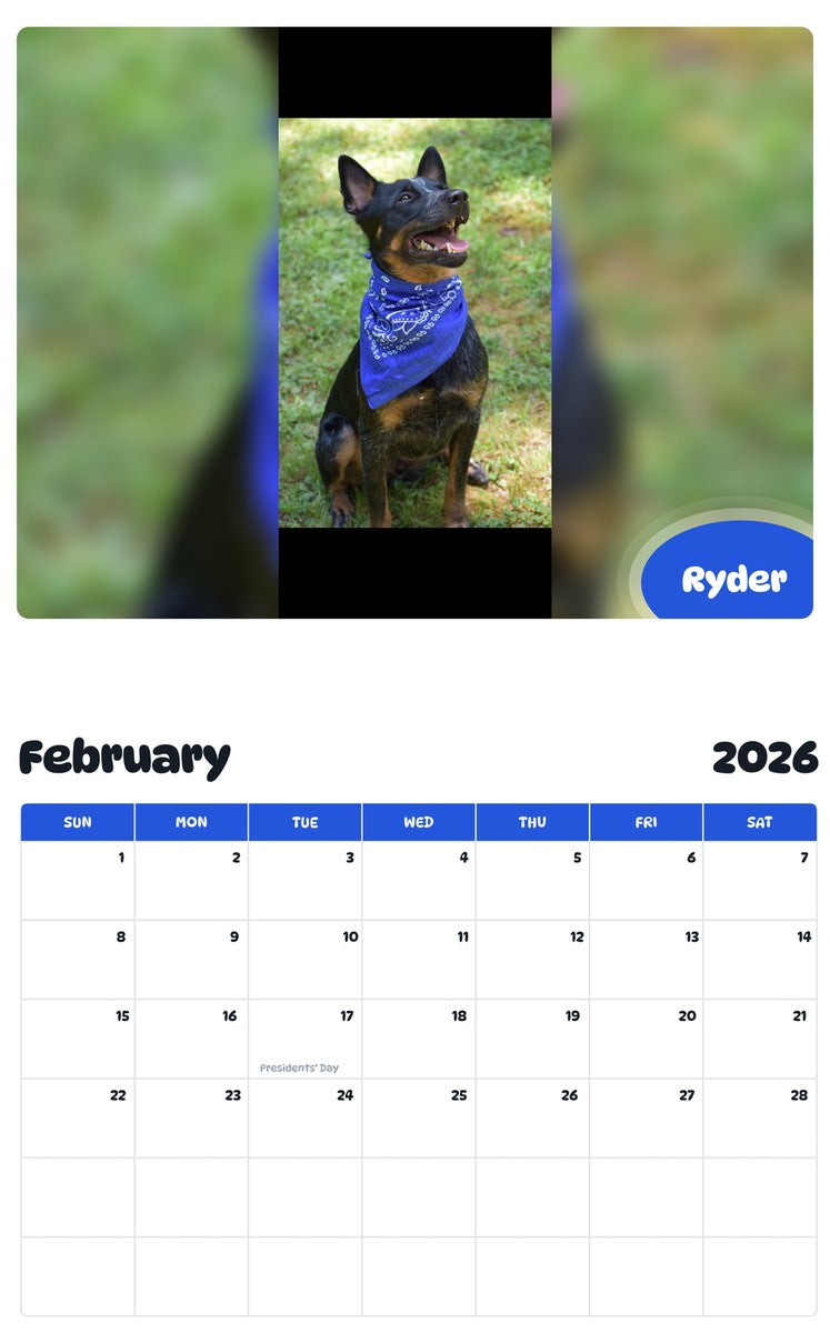 November 2025 - October 2026 Ryder - Pawidols Pet Calendar