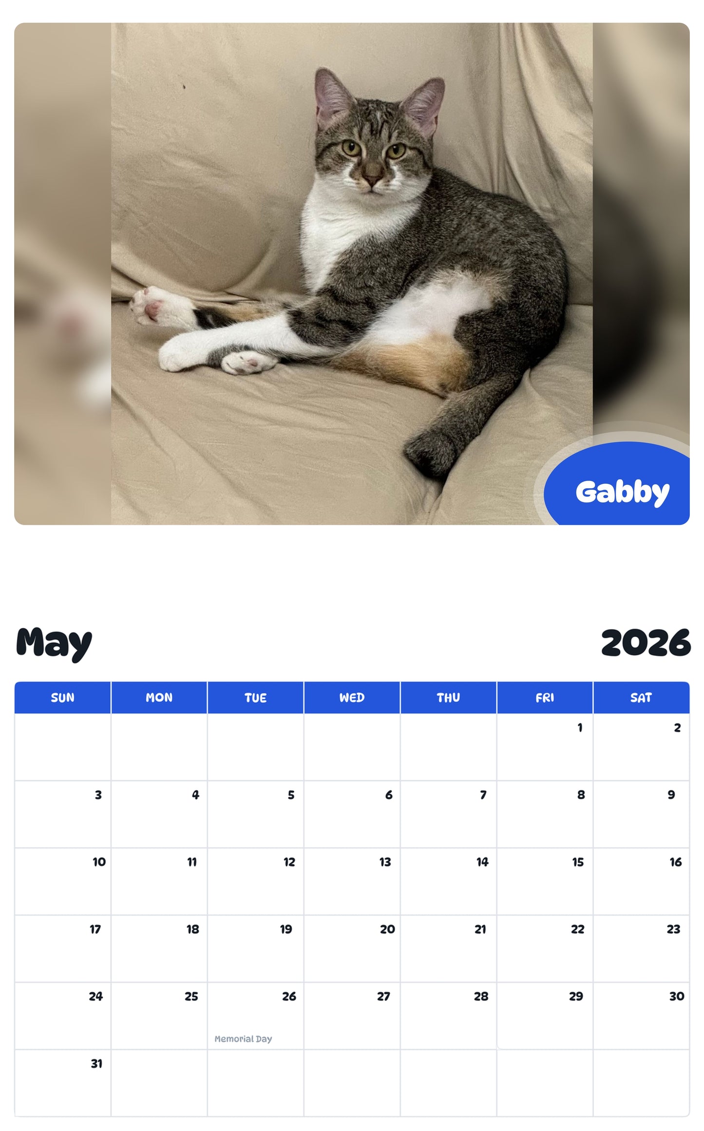 2026 - 2027 Gabby - Pawidols Pet Calendar