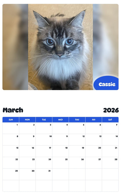 November 2025 - October 2026 Cassie - Pawidols Pet Calendar