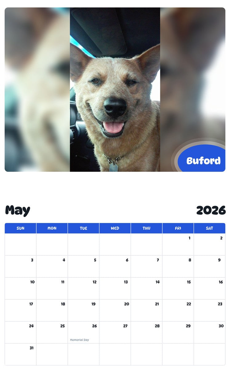 2026 - 2027 Buford - Pawidols Pet Calendar