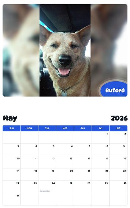 2026 - 2027 Buford - Pawidols Pet Calendar