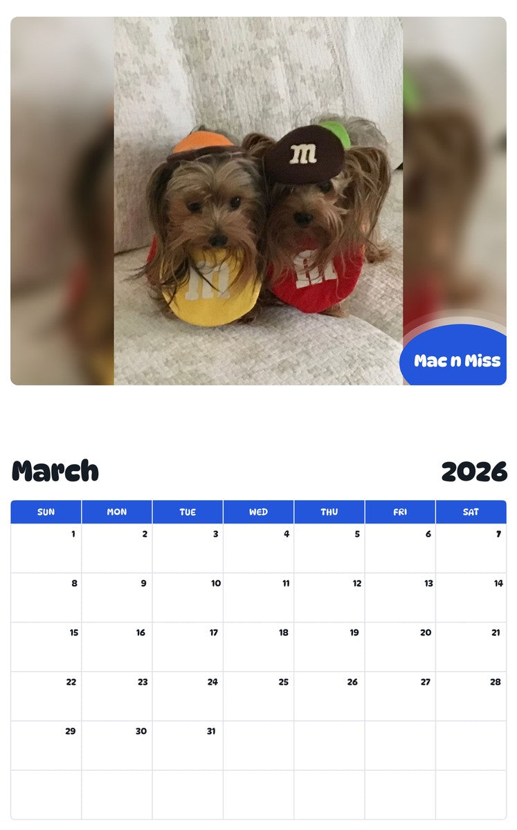 November 2025 - October 2026 Mac n Miss - Pawidols Pet Calendar