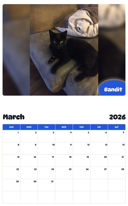 November 2025 - October 2026 Bandit - Pawidols Pet Calendar
