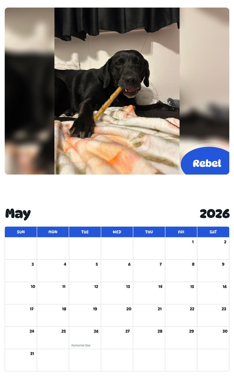 2026 - 2027 Rebel - Pawidols Pet Calendar
