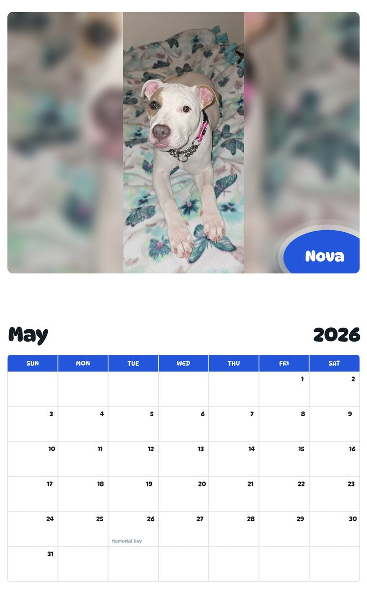 2026 - 2027 Nova - Pawidols Pet Calendar