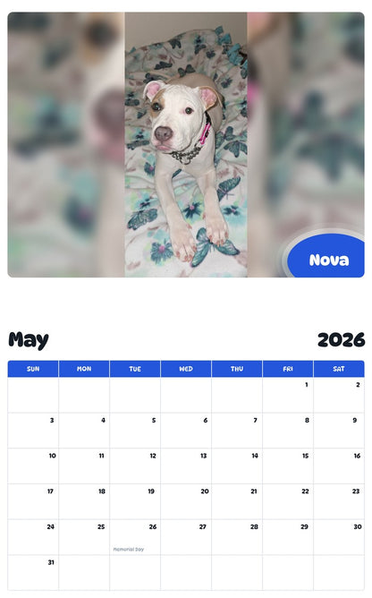2026 - 2027 Nova - Pawidols Pet Calendar