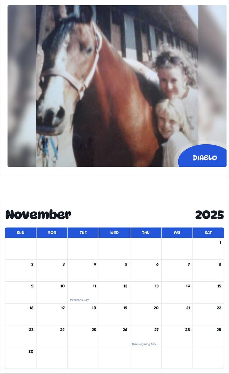 July 2025 - June 2026 DIABLO - Pawidols Pet Calendar