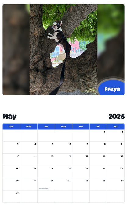 2026 - 2027 Freya - Pawidols Pet Calendar