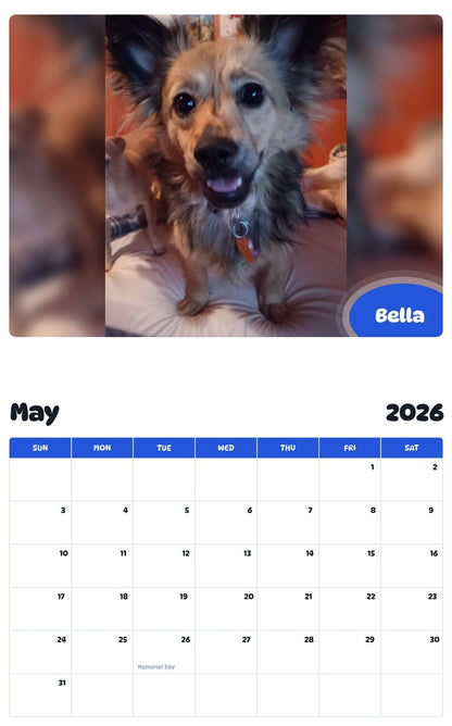 2026 - 2027 Bella - Pawidols Pet Calendar