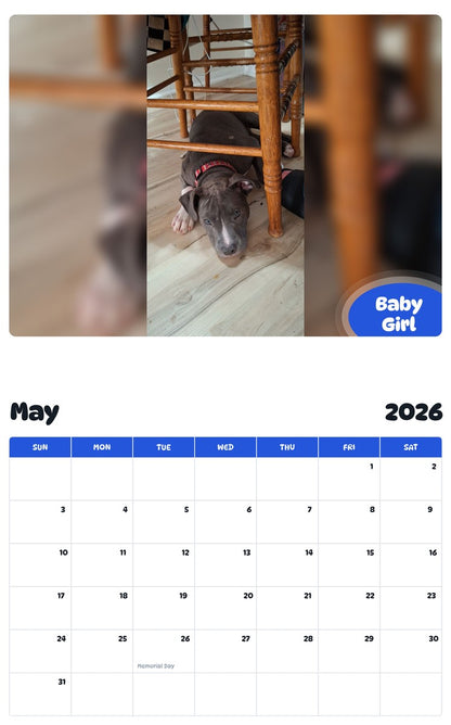 2026 - 2027 Baby Girl - Pawidols Pet Calendar