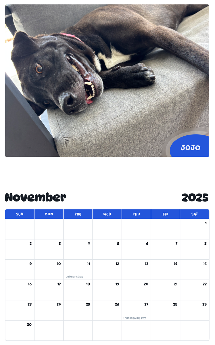 July 2025 - June 2026 Jojo - Pawidols Pet Calendar
