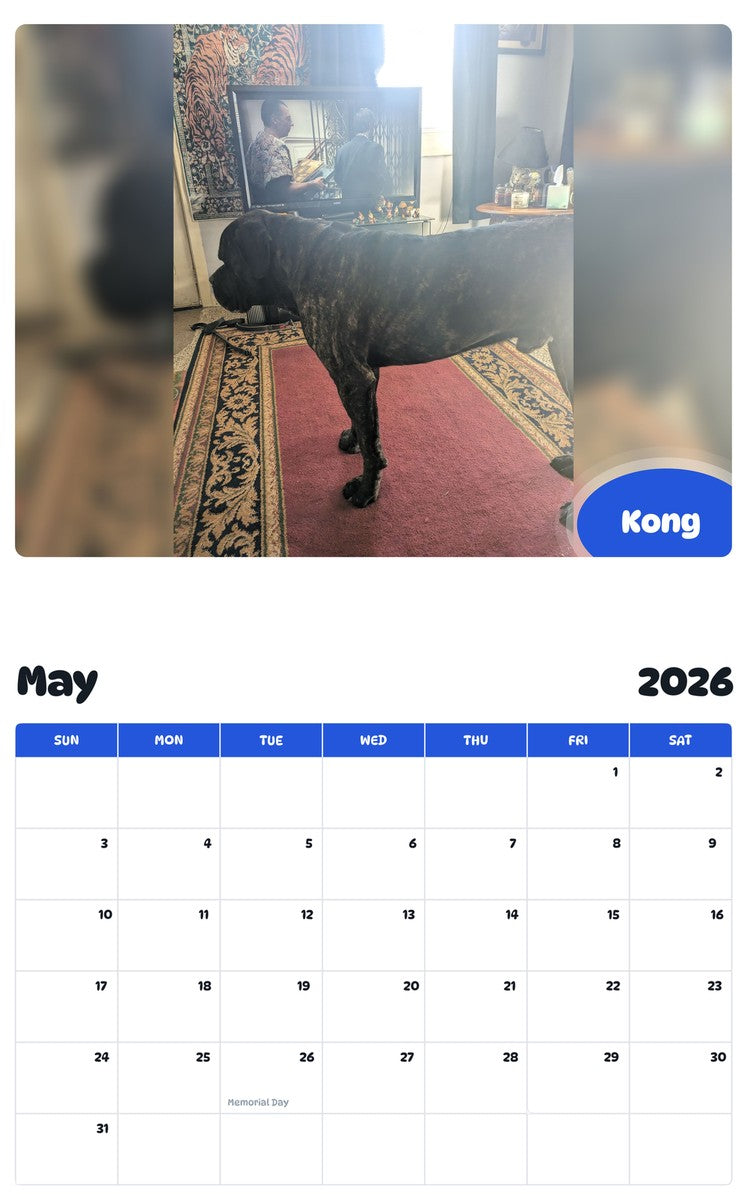 2026 - 2027 Kong - Pawidols Pet Calendar