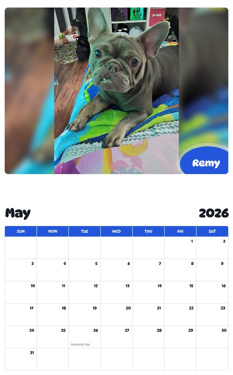 2026 - 2027 Remy - Pawidols Pet Calendar