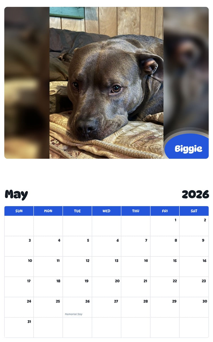 2026 - 2027 Biggie - Pawidols Pet Calendar