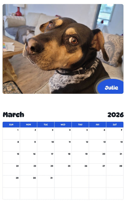 November 2025 - October 2026 Julie - Pawidols Pet Calendar
