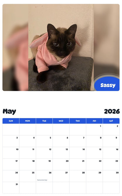 2026 - 2027 Sassy - Pawidols Pet Calendar