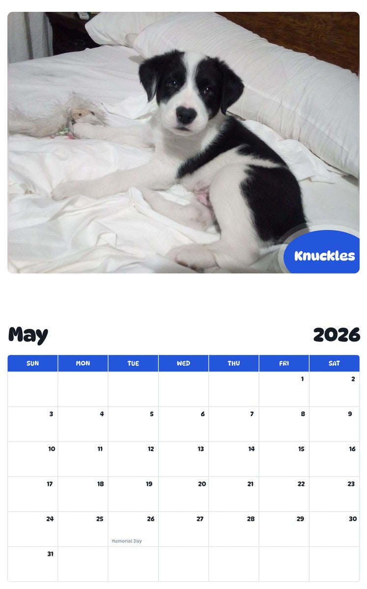 2026 - 2027 Knuckles - Pawidols Pet Calendar
