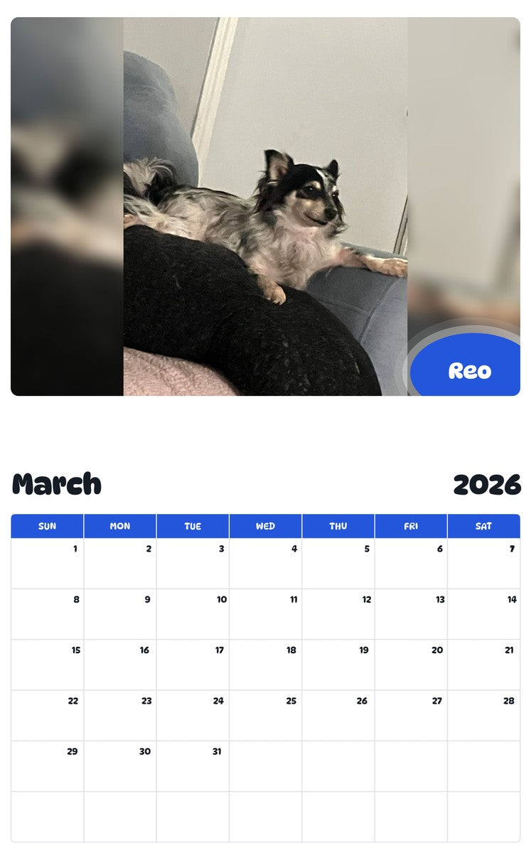November 2025 - October 2026 Reo - Pawidols Pet Calendar